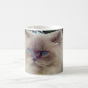 Himalayan Persian Cat Coffee Mug