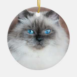 Himalayan Portrait Ceramic Ornament