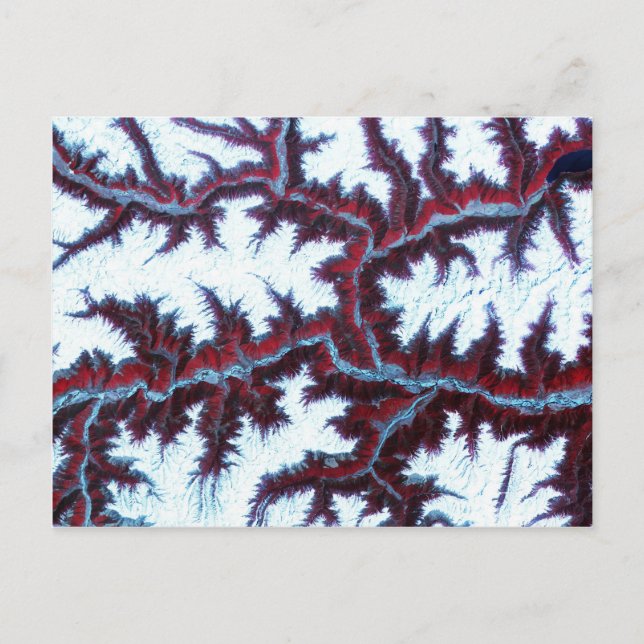 Himalayas Postcard (Front)