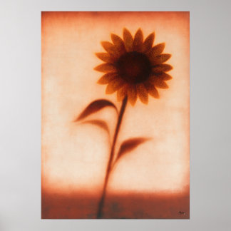 Himawari Sunflower Japanese Floral Abstraction Poster