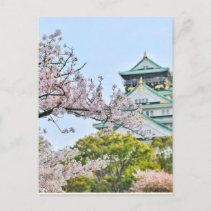 Himeji Castle with cherry blossoms Postcard