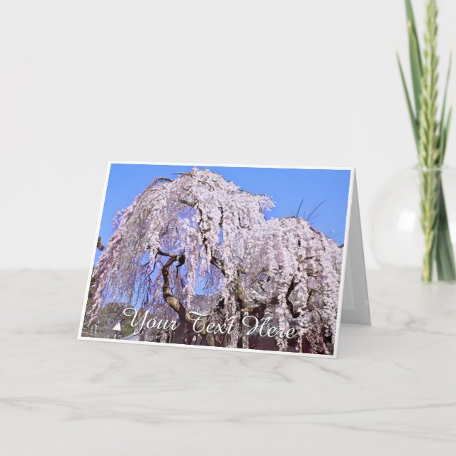 Himuro Shrine Card (Front)