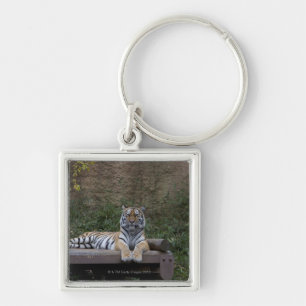 Hino, Tokyo Prefecture, Japan Key Ring