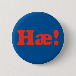 hint Iceland 6 Cm Round Badge
