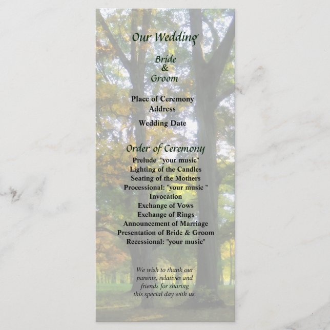 Hint of Autumn Wedding Program (Front)