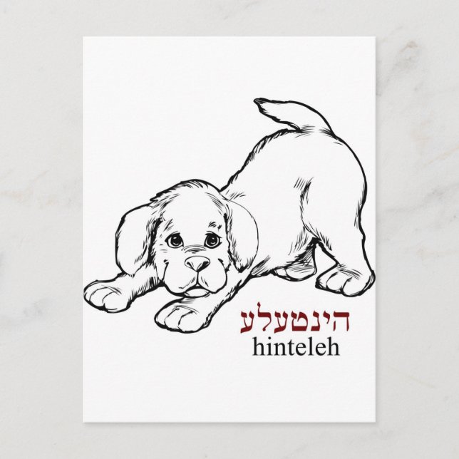 "Hinteleh"-puppy Postcard (Front)
