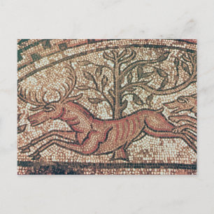 Hinton St. Mary pavement c.350 AD Postcard