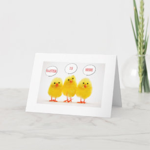 HIP CHICKS ON THE WAY WITH EASTER GREETINGS HOLIDAY CARD