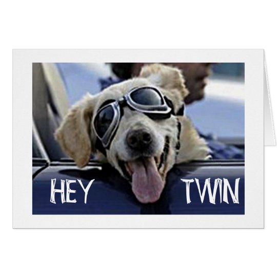 HIP DOG SAYS HEY **TWIN** "HAVE A HAPPY BIRTHDAY" CARD