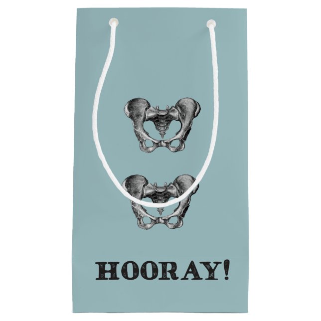 Hip Hip Hooray Anatomy Message Small Gift Bag (Front)