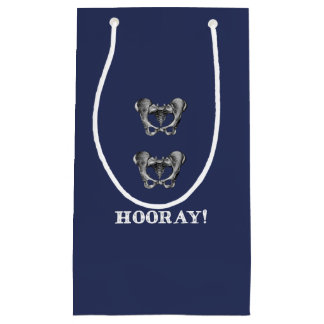Hip Hip Hooray Funny Anatomy Gift Small Gift Bag