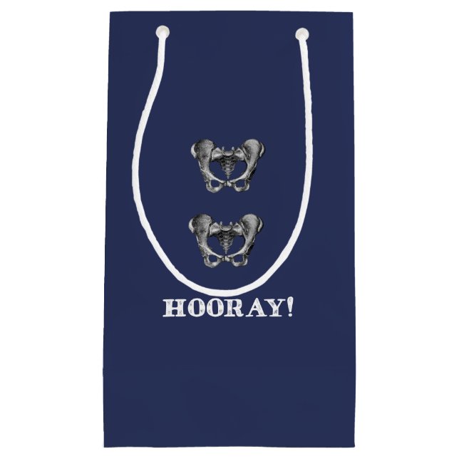 Hip Hip Hooray Funny Anatomy Gift Small Gift Bag (Front)