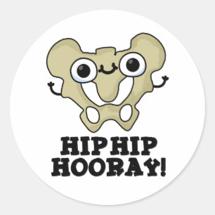 Hip Hip Hooray Funny Anatomy Pun Classic Round Sticker