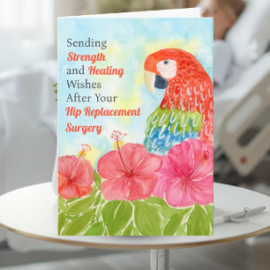 Hip Surgery Healing Scarlet Macaws, Hibiscus Card