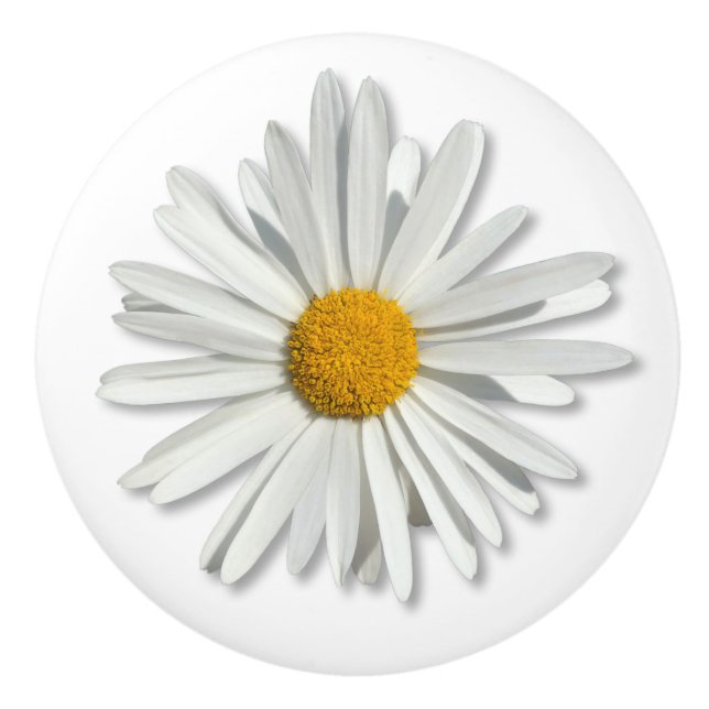 Hippie White Daisy Flower Blossom - Trendy Fashion Ceramic Knob (Front)