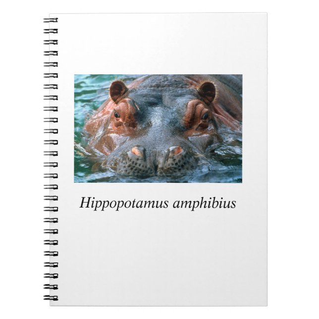 Hippo#1 Notebook (Front)