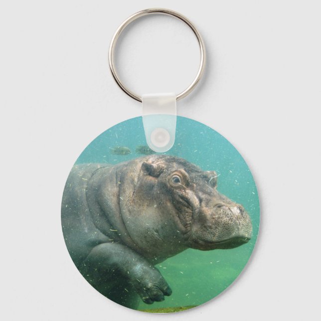 hippo-2 key ring (Front)