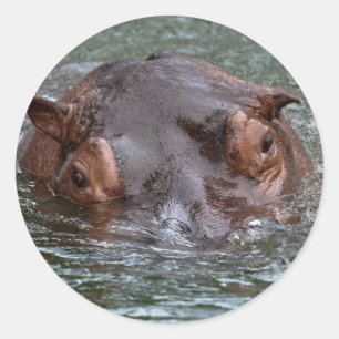 Hippo 8879 classic round sticker