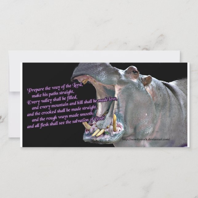 Hippo Advent Card (Front)