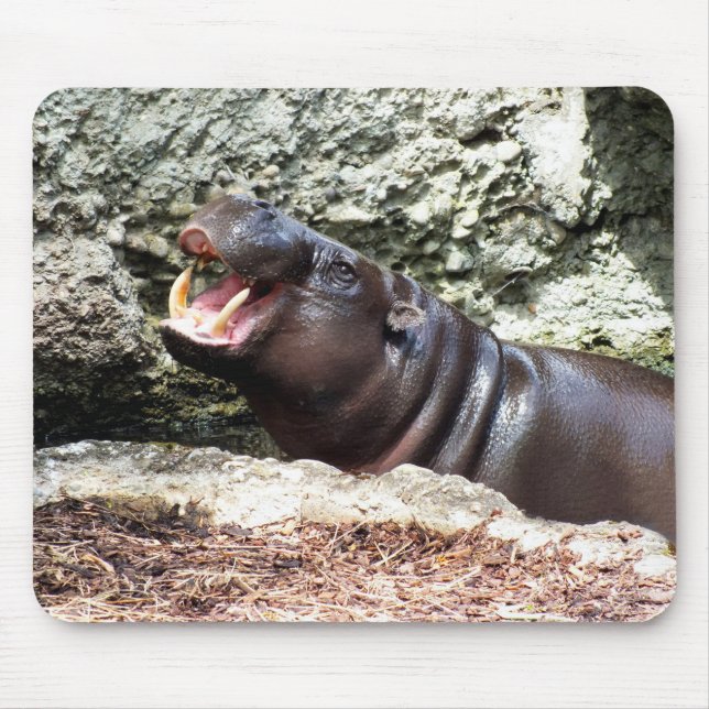 Hippo animal mouse pad (Front)