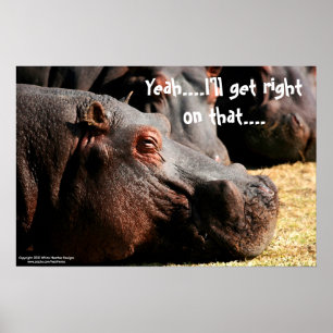 Hippo attitude "I'll get right on that" poster