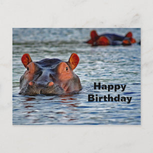 Hippo Birthday Postcard