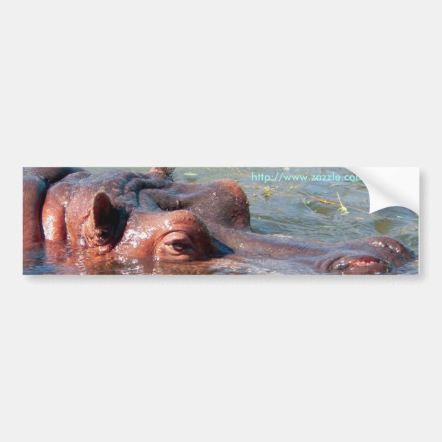 Hippo Bumper Sticker (Front)