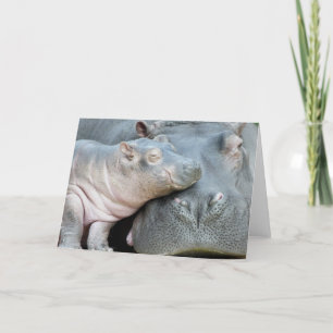 Hippo Card