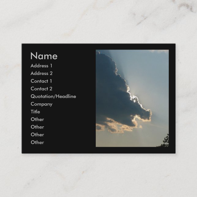 Hippo Cloud Business Card (Front)