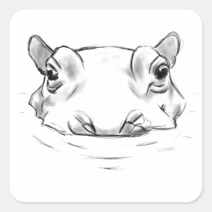 Hippo drawing square sticker
