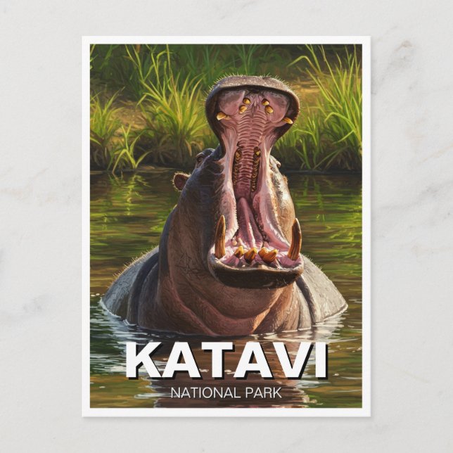 Hippo in Katavi National Park Tanzani Postcard (Front)
