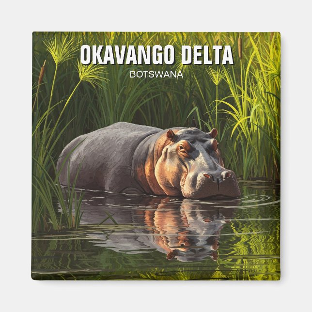 Hippo in Okavango Delta Botswana Magnet (Front)