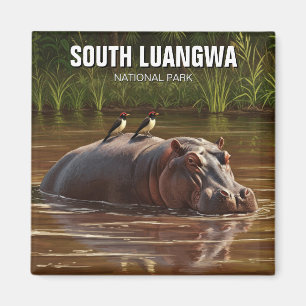 Hippo in South Luangwa National Park Zambia Magnet