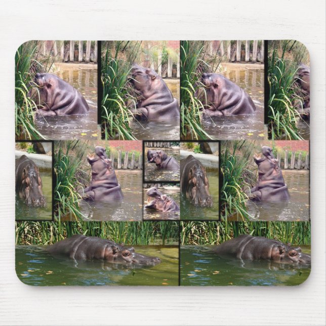 **"Hippo Moments: A Photo Collage of River Giants" Mouse Pad (Front)