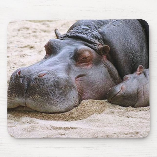 Hippo Mousepad (Front)