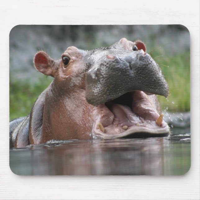 Hippo Mousepad (Front)