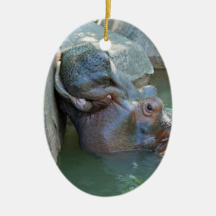 Hippo Ornament