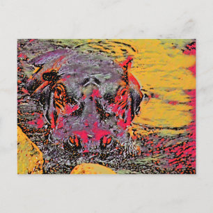 Hippo Post Card