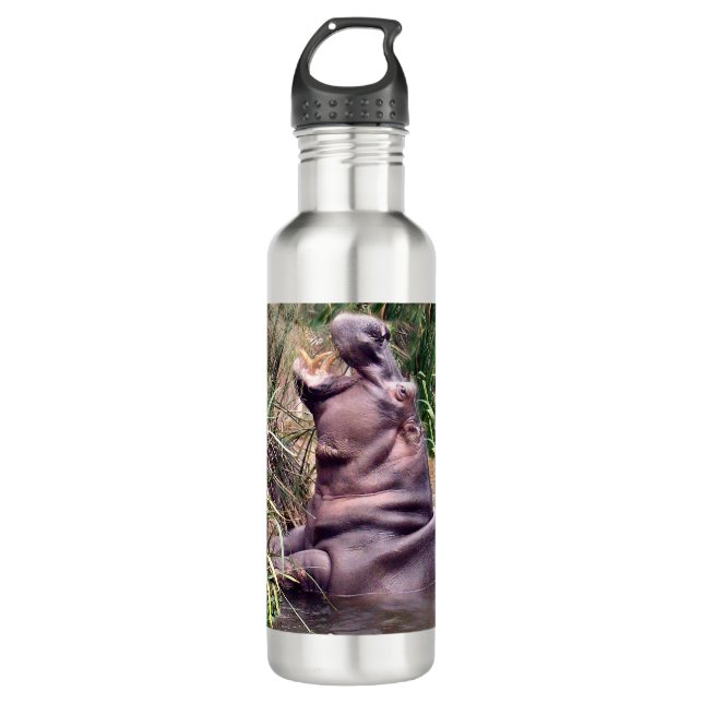 Hippo Roar, 710 Ml Water Bottle (Front)