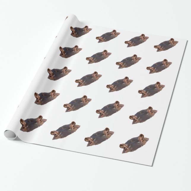 Hippo Wrapping Paper (Unrolled)