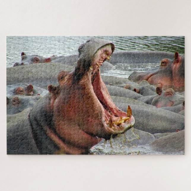 hippo yawn jigsaw puzzle (Horizontal)
