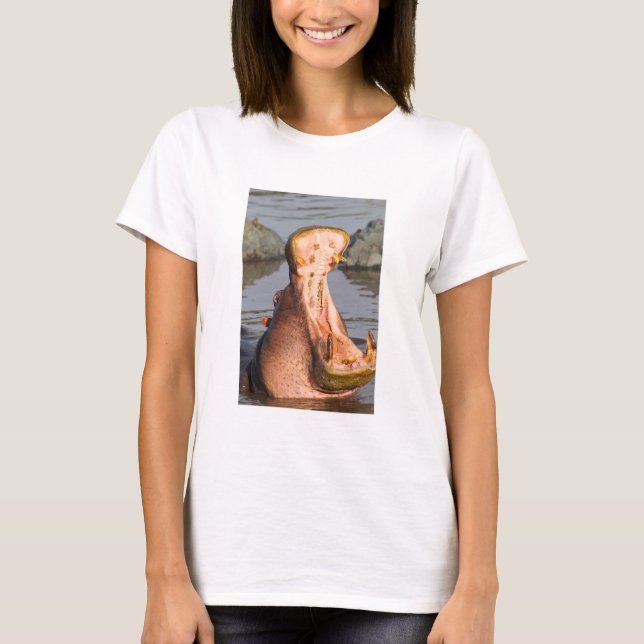 Hippo yawning, Tanzania T-Shirt (Front)