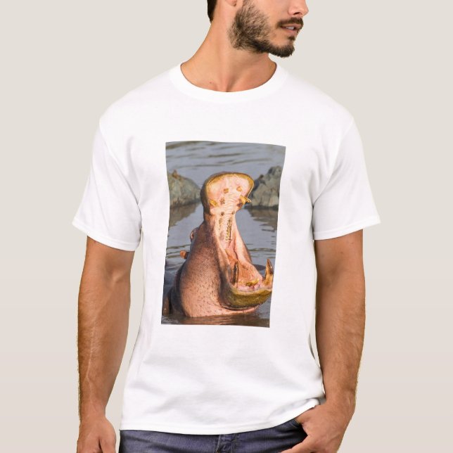 Hippo yawning, Tanzania T-Shirt (Front)