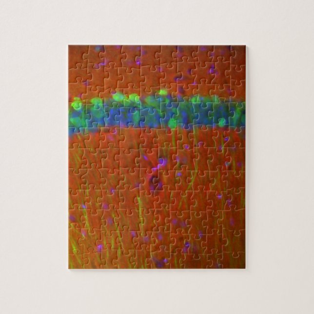 Hippocampal neurons 4 jigsaw puzzle (Vertical)