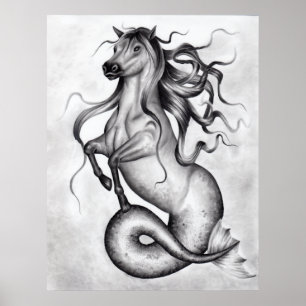 Hippocampus Poster