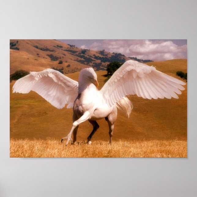Hippogriff Poster (Front)
