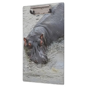 Hippoposterus Clipboard