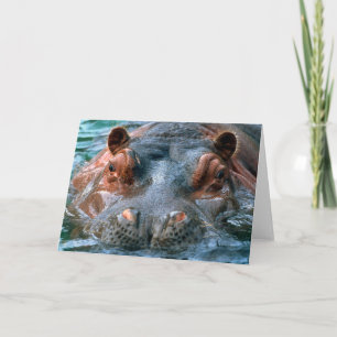 Hippopotamus #1-Greeting card