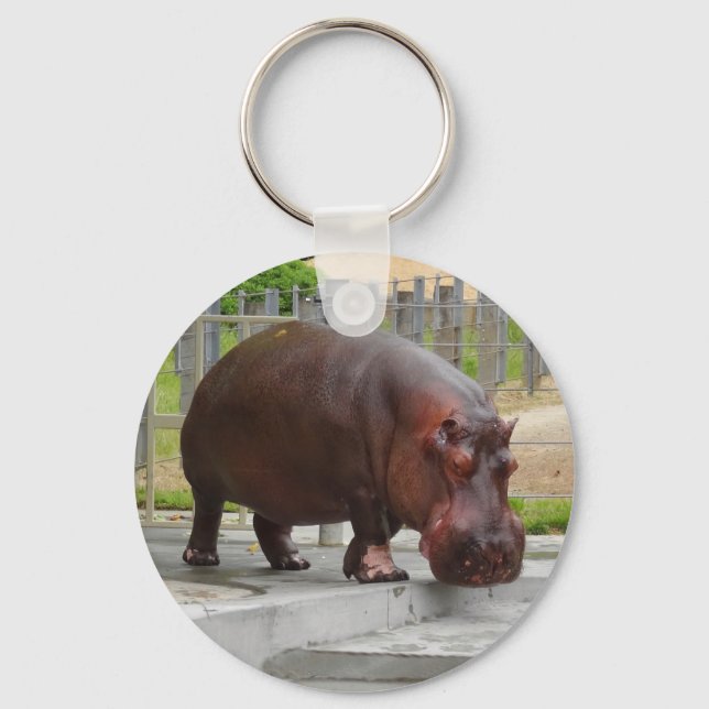 Hippopotamus #2 Keychain (Front)