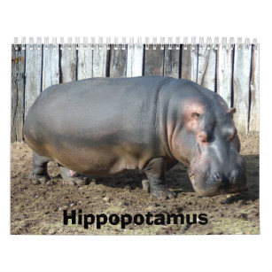 Hippopotamus Calendar, Hippopotamus Calendar